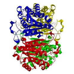 Image of CATH 1nfq