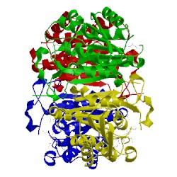 Image of CATH 1nfr