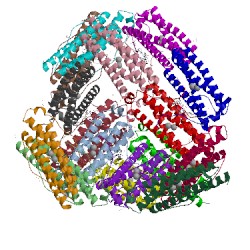 Image of CATH 1nfv