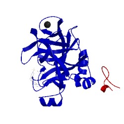 Image of CATH 1nfw