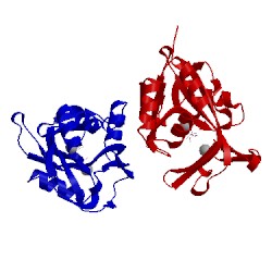 Image of CATH 1nfz