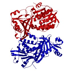 Image of CATH 1ng3