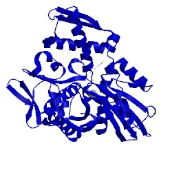 Image of CATH 1ngc