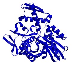 Image of CATH 1ngh