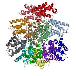 Image of CATH 1ngk