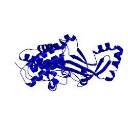 Image of CATH 1nh1