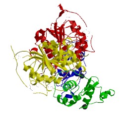 Image of CATH 1nhe