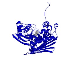 Image of CATH 1nhi