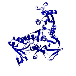 Image of CATH 1nhp