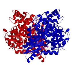 Image of CATH 1nhv