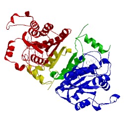 Image of CATH 1nhw