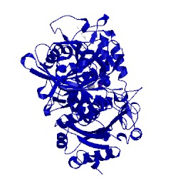 Image of CATH 1nhx