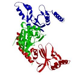 Image of CATH 1ni0