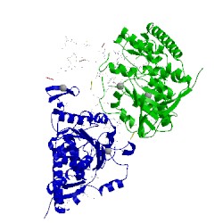 Image of CATH 1ni4