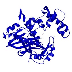 Image of CATH 1njb