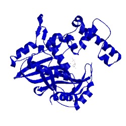 Image of CATH 1njd