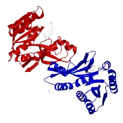 Image of CATH 1njs