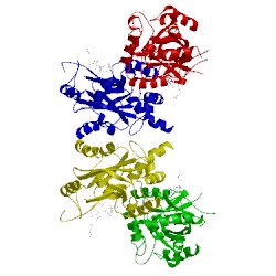 Image of CATH 1nju