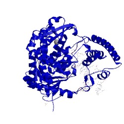 Image of CATH 1nk4