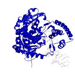 Image of CATH 1nkc