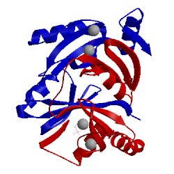 Image of CATH 1nki