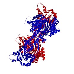 Image of CATH 1nkt