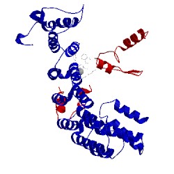 Image of CATH 1nl4