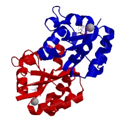 Image of CATH 1nlk