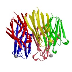 Image of CATH 1nlq