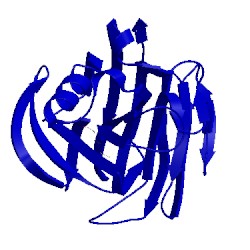 Image of CATH 1nlr