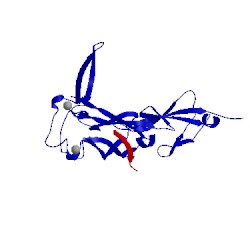 Image of CATH 1nlt