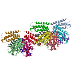 Image of CATH 1nlx