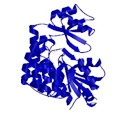 Image of CATH 1nm2