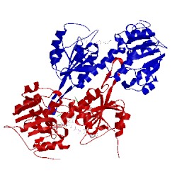 Image of CATH 1nm5