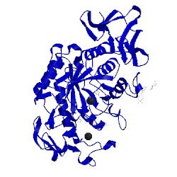 Image of CATH 1nm9