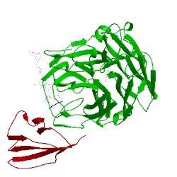 Image of CATH 1nma