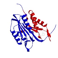 Image of CATH 1nme