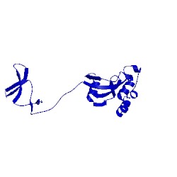 Image of CATH 1nmv