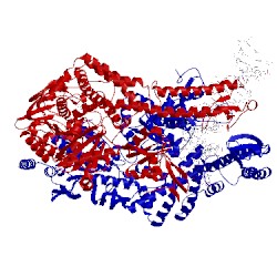 Image of CATH 1nne