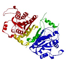 Image of CATH 1nnu