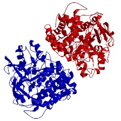 Image of CATH 1no7