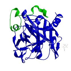 Image of CATH 1no9