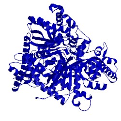 Image of CATH 1noj