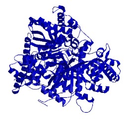 Image of CATH 1nok