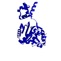 Image of CATH 1nom