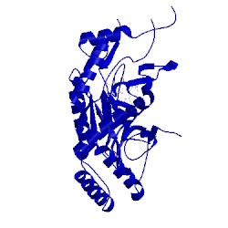 Image of CATH 1nos