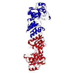 Image of CATH 1npd