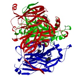 Image of CATH 1npn