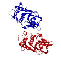 Image of CATH 1npz