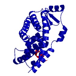 Image of CATH 1nq7